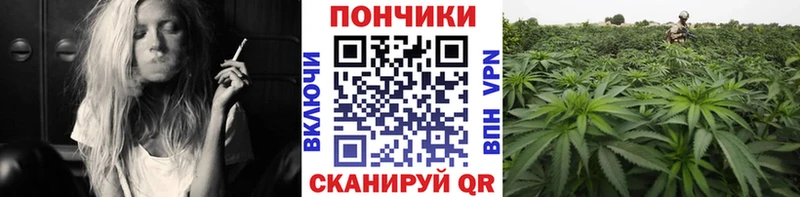 Конопля MAZAR Мурманск